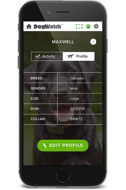 Ottawa DogWatch, Kemptville, Ontario | SmartFence WebApp Image